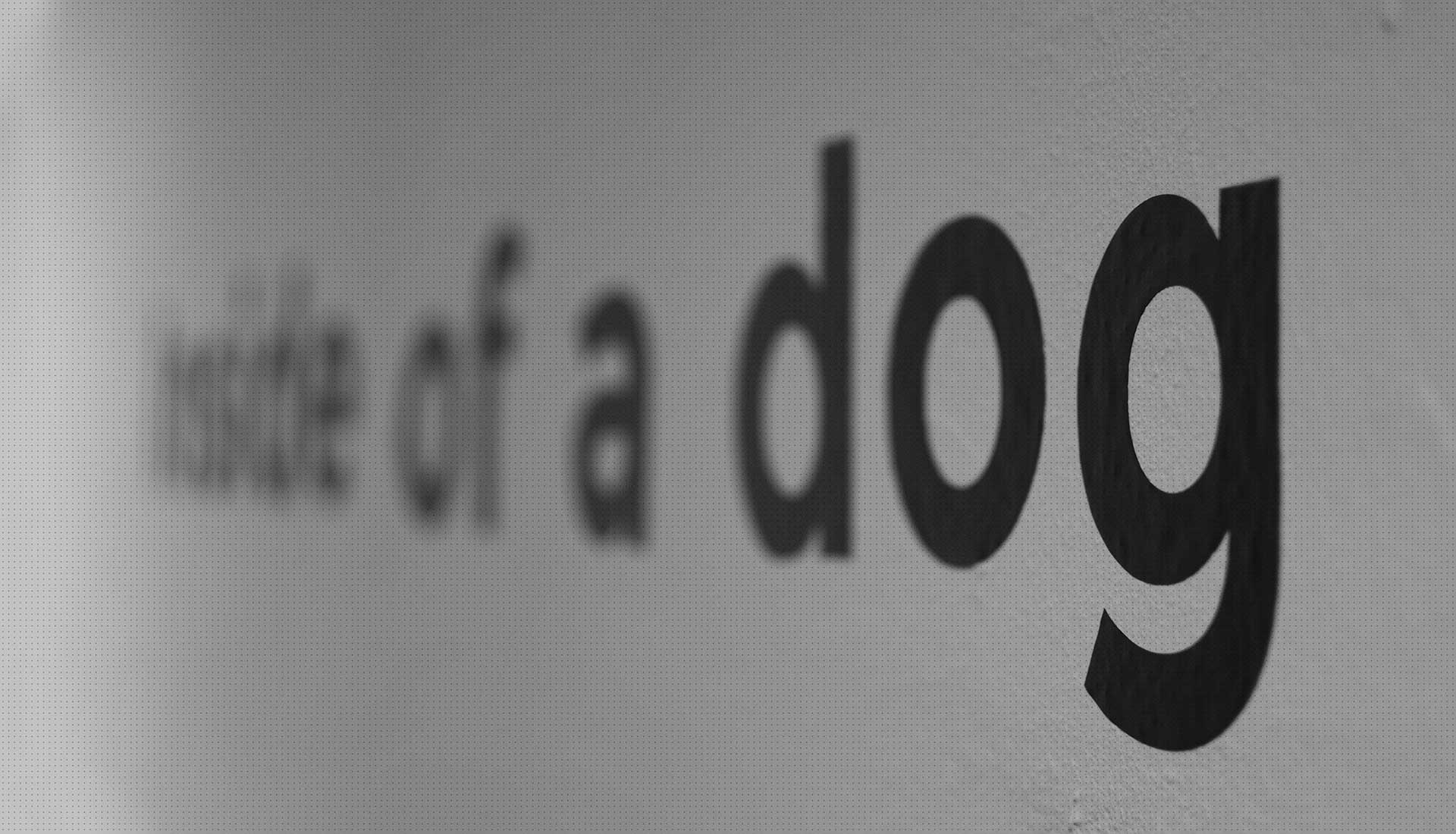 Inside of a dog copertina